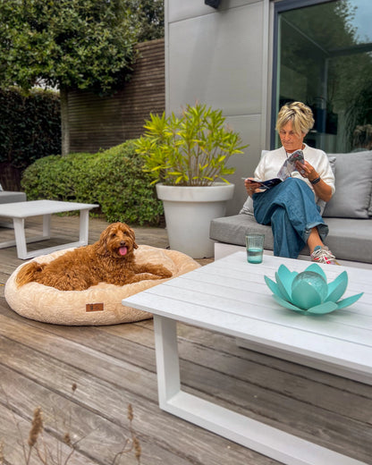 Panier douillet orthopédique Pet Perfect