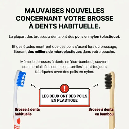 Brosse à dents en poils de sanglier ou crin de cheval (lot de 4)