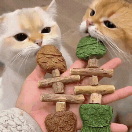 PurriDent - Réparez la santé dentaire de votre chat !
