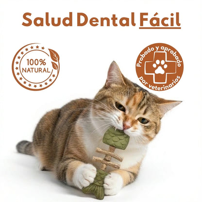 PurriDent - Réparez la santé dentaire de votre chat !