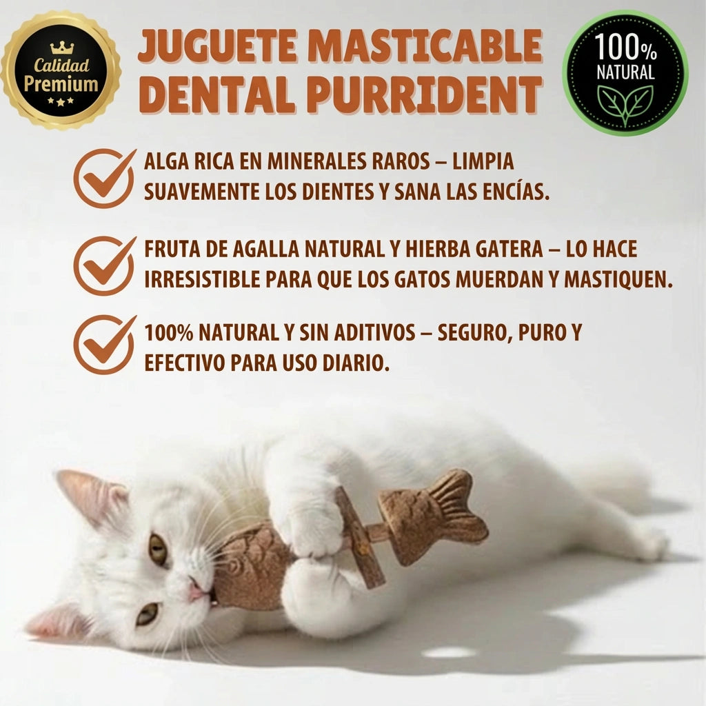 PurriDent - Réparez la santé dentaire de votre chat !