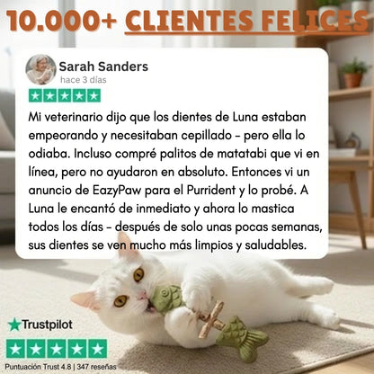 PurriDent - Réparez la santé dentaire de votre chat !