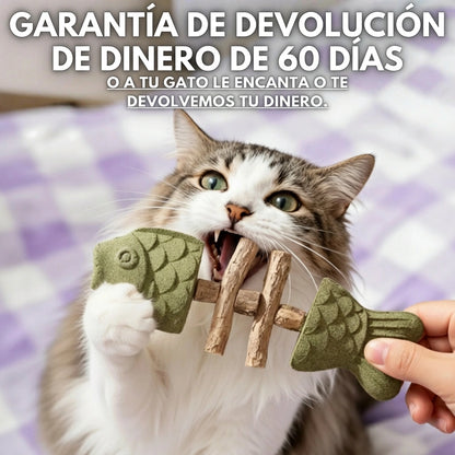 PurriDent - Réparez la santé dentaire de votre chat !
