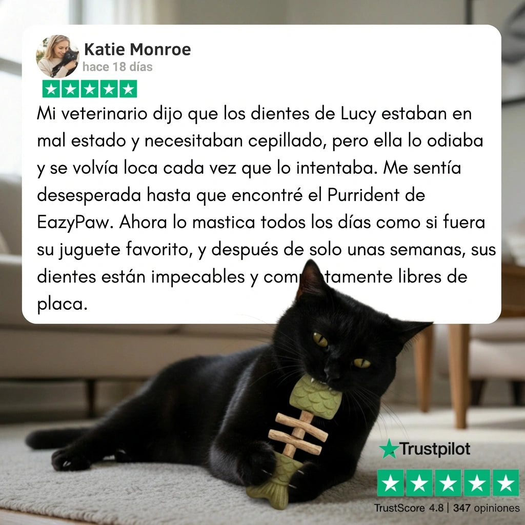 PurriDent - Réparez la santé dentaire de votre chat !