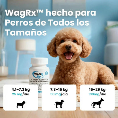 Cyclosporine Chewable Tablets (WagLabs™) I -54% OFF TODAY