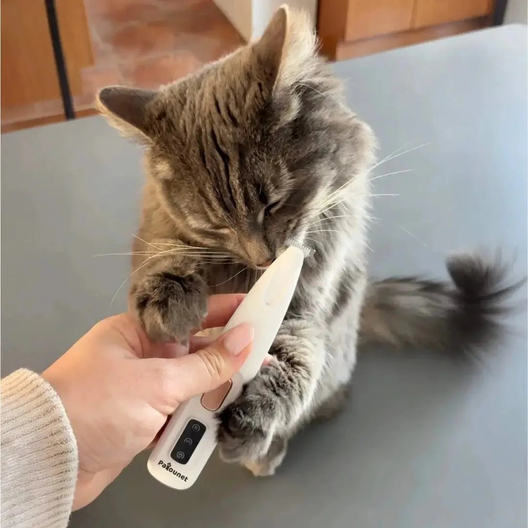 Patounet - Precision Cat Grooming Clipper